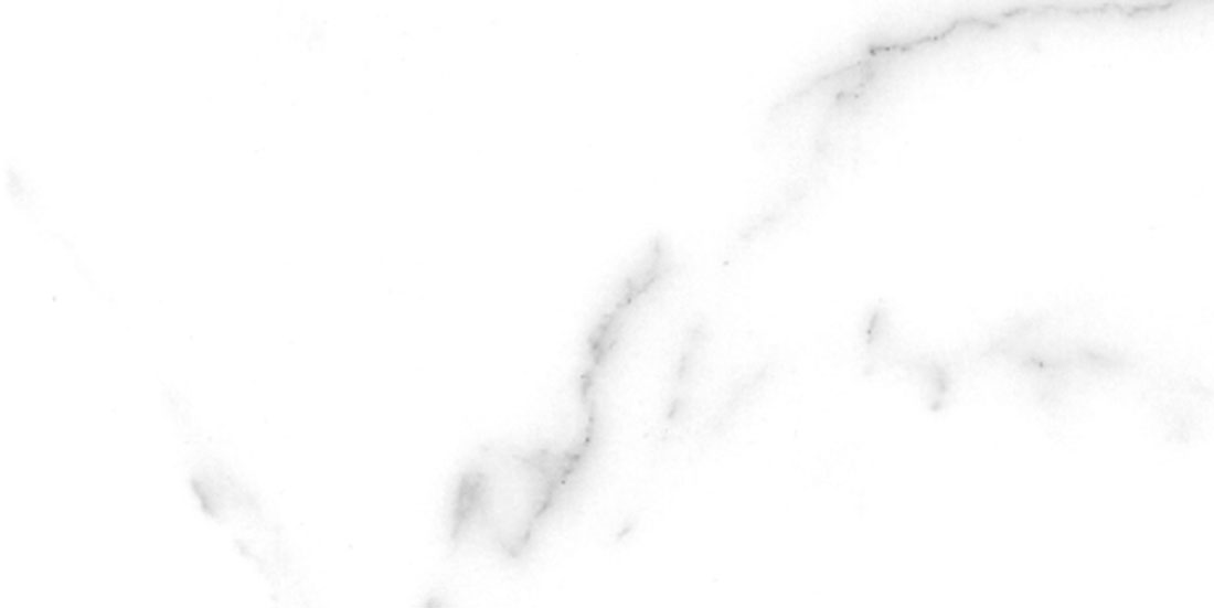 Bianco venato carrara