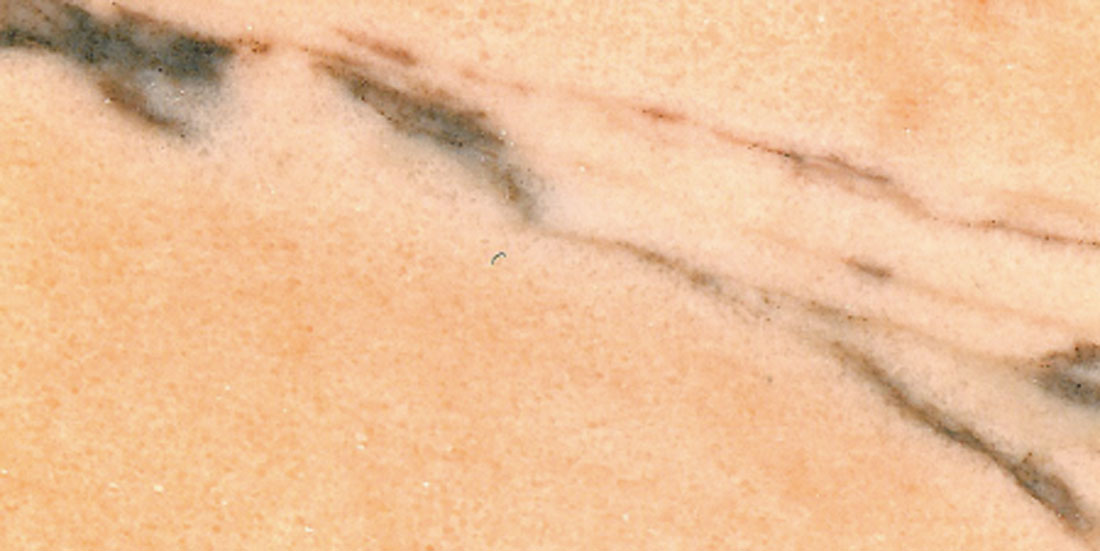 Rosa portogallo venato