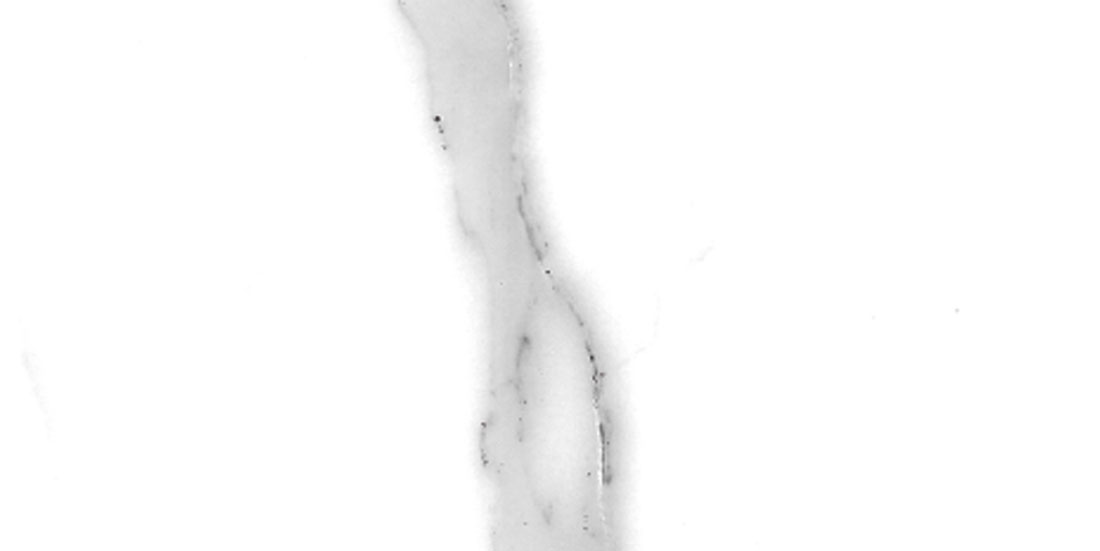 Statuario vena grossa